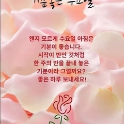 피드에 업로드 된 이미지