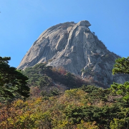 피드에 업로드 된 이미지