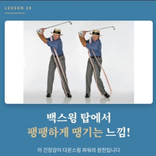 피드 이미지