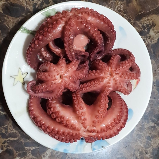 피드 이미지