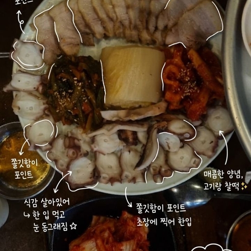 피드 이미지