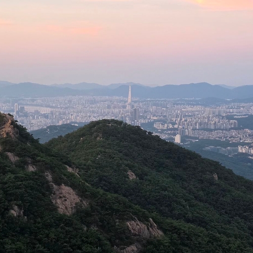 피드 이미지