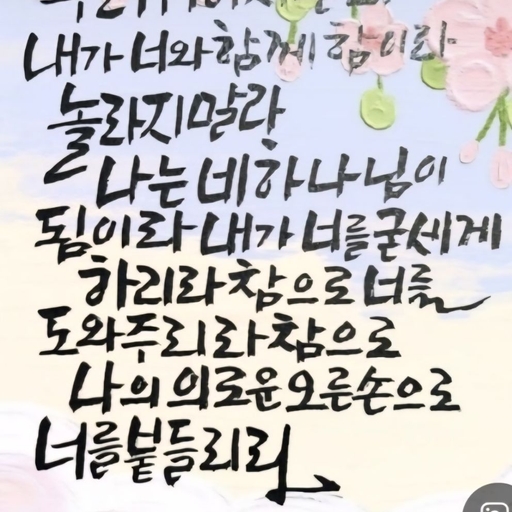 피드 이미지
