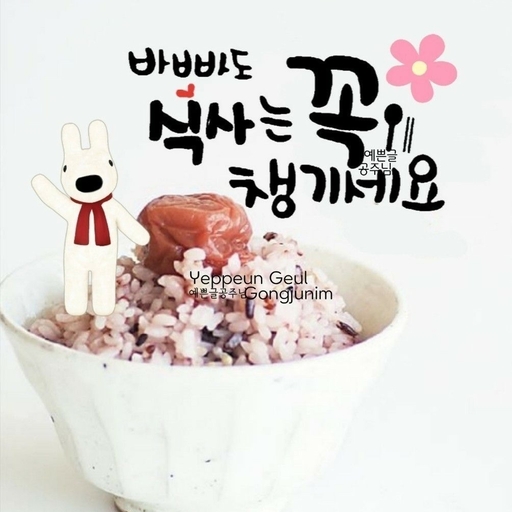피드 이미지