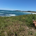 피드 작성자 프로필