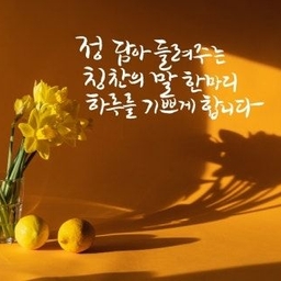 피드에 업로드 된 이미지