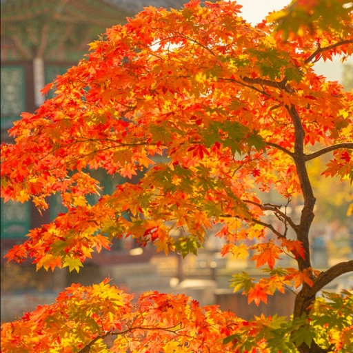 피드 이미지