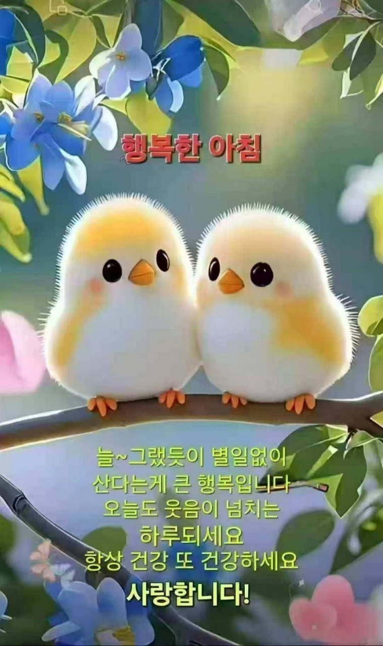 피드에 업로드 된 이미지