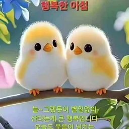 피드에 업로드 된 이미지