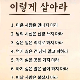 피드에 업로드 된 이미지