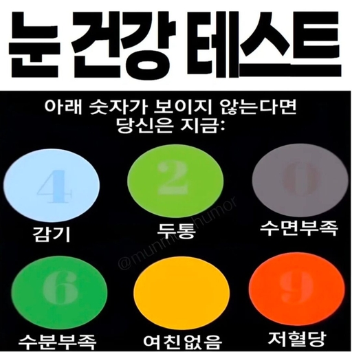 피드 이미지
