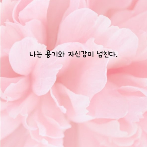 피드 이미지