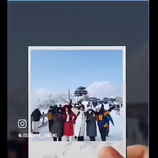 피드 이미지