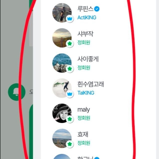 피드 이미지