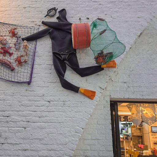 피드 이미지