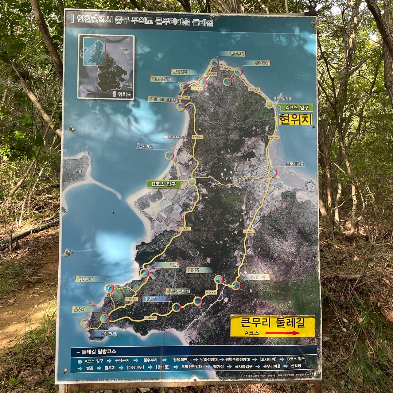 피드 이미지