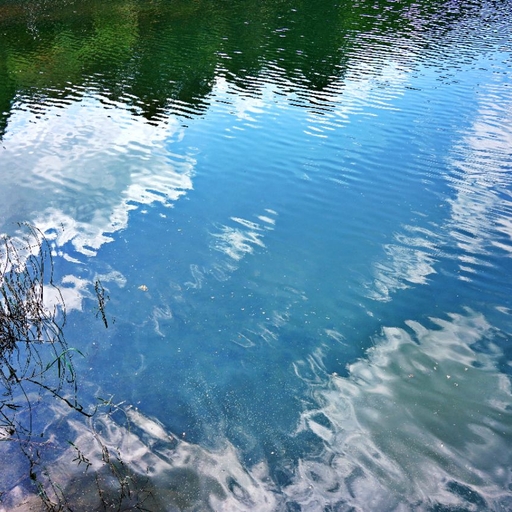 피드 이미지