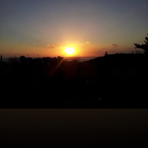 피드 이미지