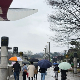 피드에 업로드 된 이미지