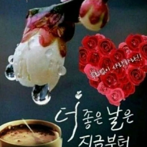 피드 이미지