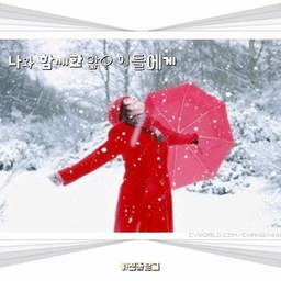 피드에 업로드 된 이미지