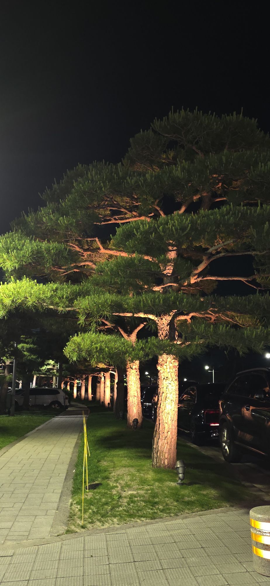 피드에 업로드 된 이미지