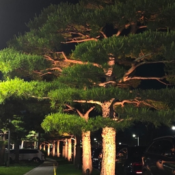 피드에 업로드 된 이미지