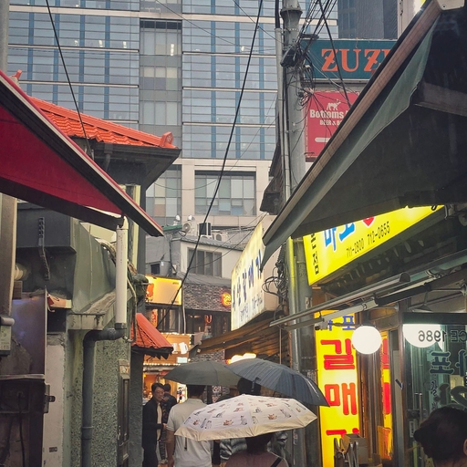 피드 이미지