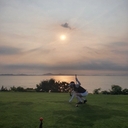 피드 작성자 프로필