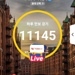 피드에 업로드 된 이미지