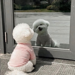 피드에 업로드 된 이미지