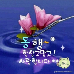 ํผ๋์ ์
๋ก๋ ๋ ์ด๋ฏธ์ง