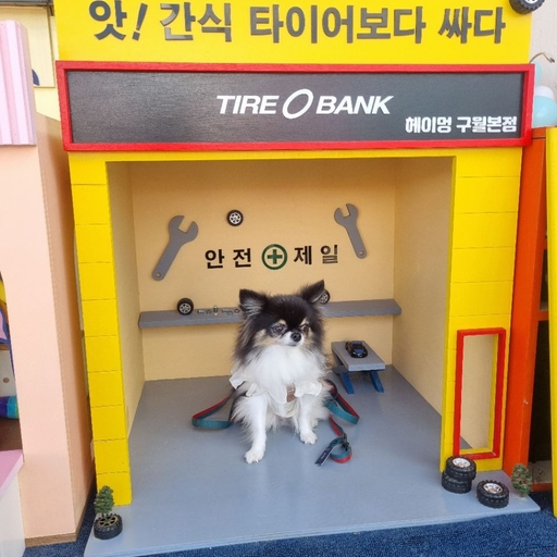 피드 이미지