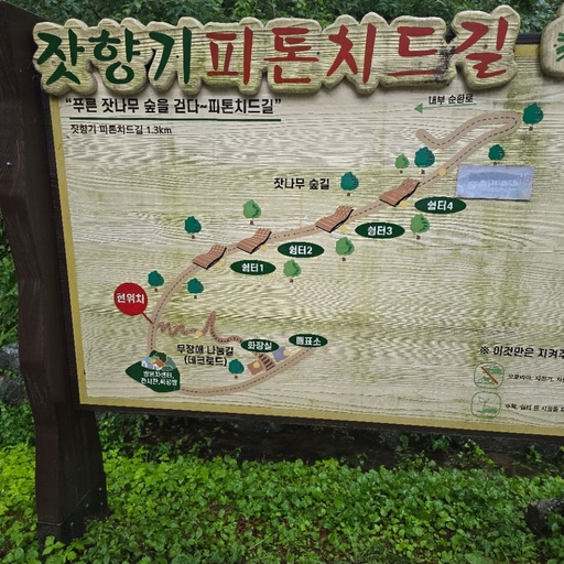 피드 이미지