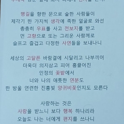 피드에 업로드 된 이미지