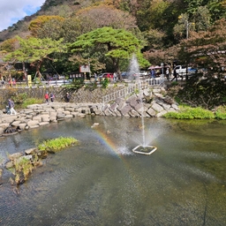 피드에 업로드 된 이미지