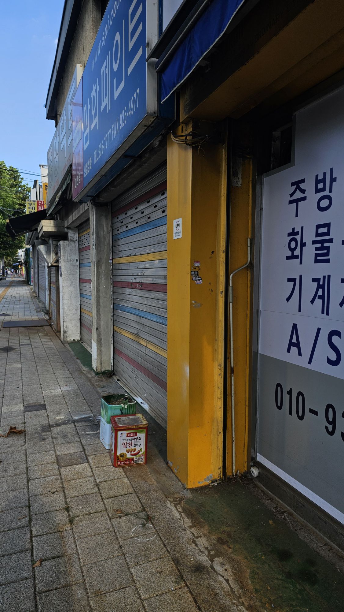 피드 이미지