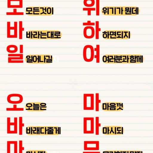 피드 이미지