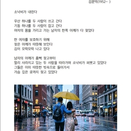 피드에 업로드 된 이미지
