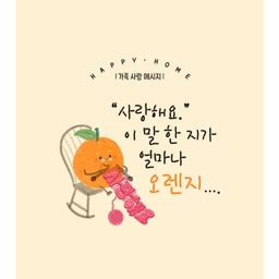 피드에 업로드 된 이미지