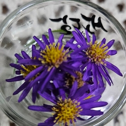 피드에 업로드 된 이미지