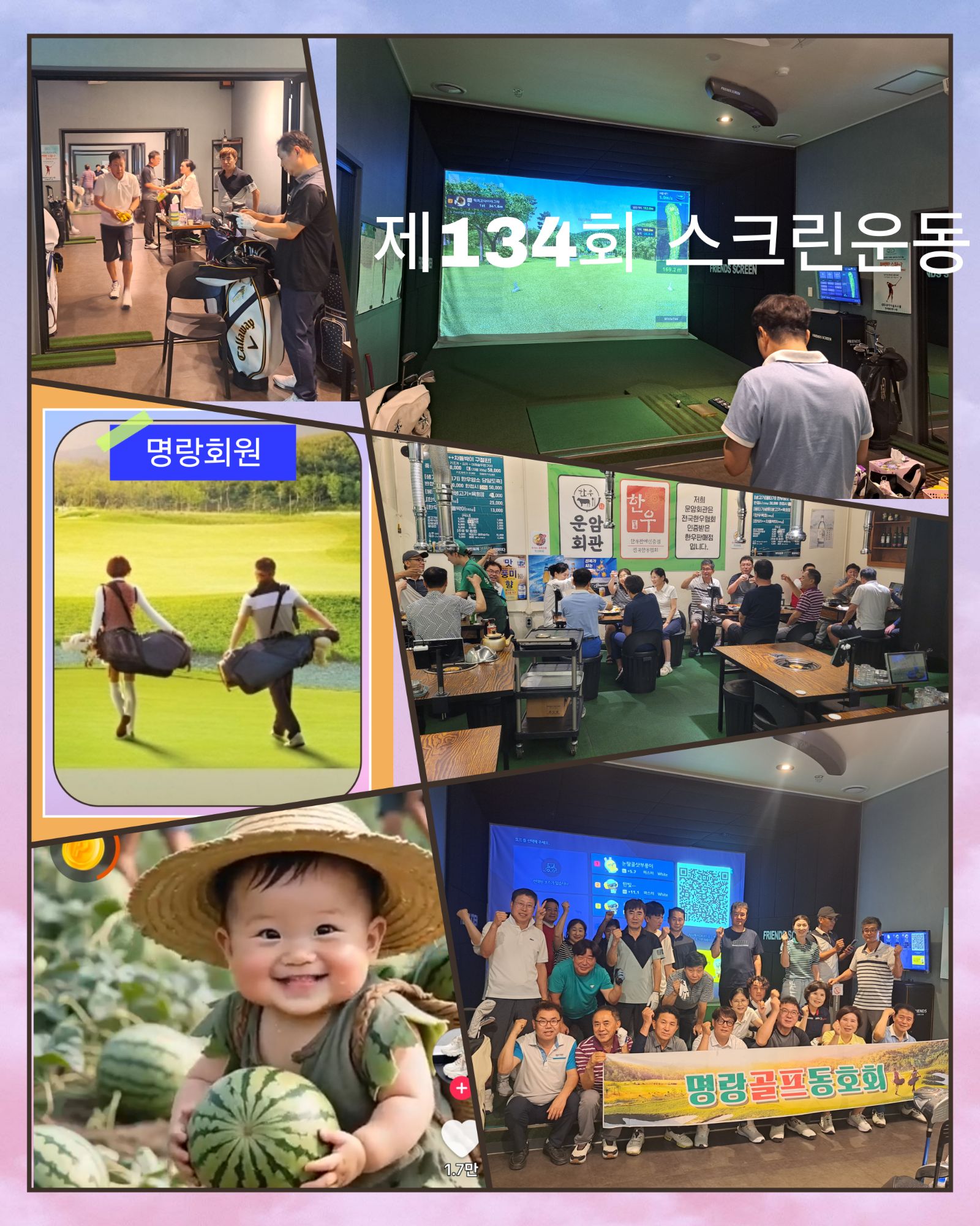 피드 이미지