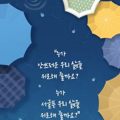 피드 이미지