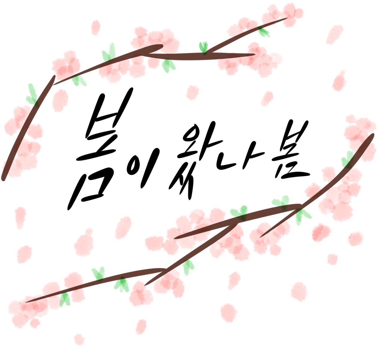 피드 이미지