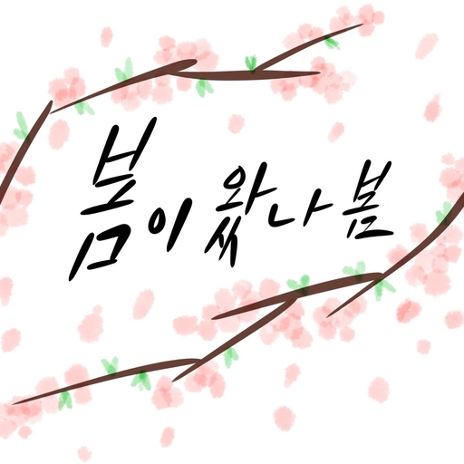 피드 이미지
