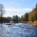참가 유저 프로필