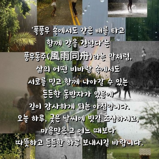 피드 이미지