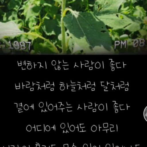 피드 이미지