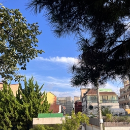 피드에 업로드 된 이미지