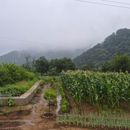 피드에 업로드 된 이미지